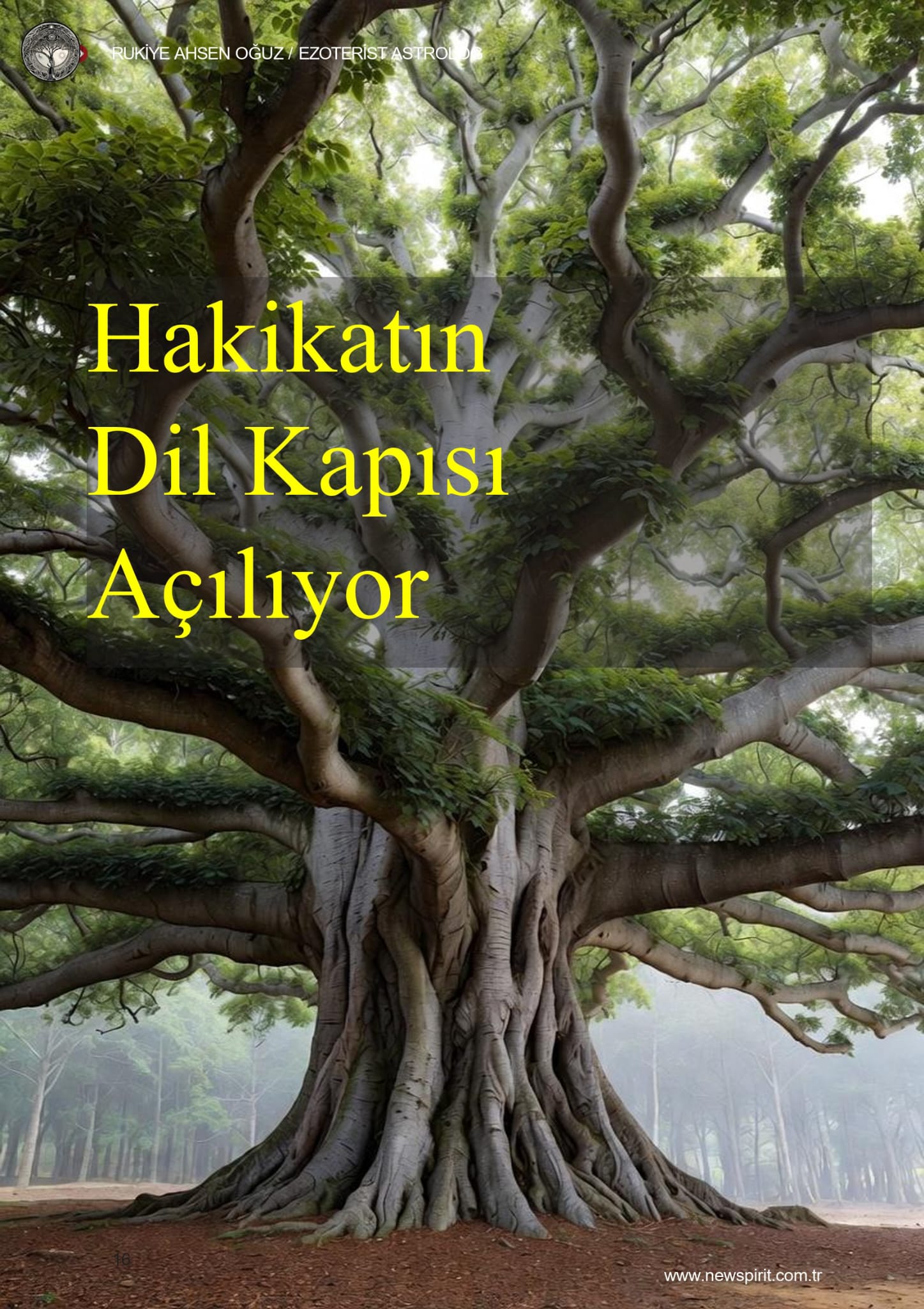 Hakikatin Dil Kapısı Açılıyor