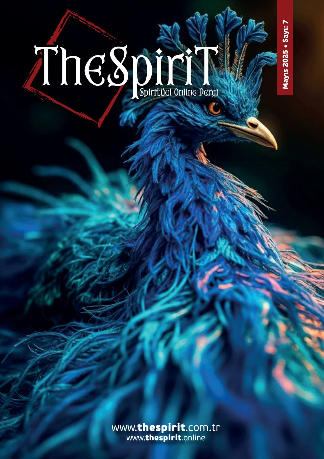 THE SPİRİT MAYIS 2025