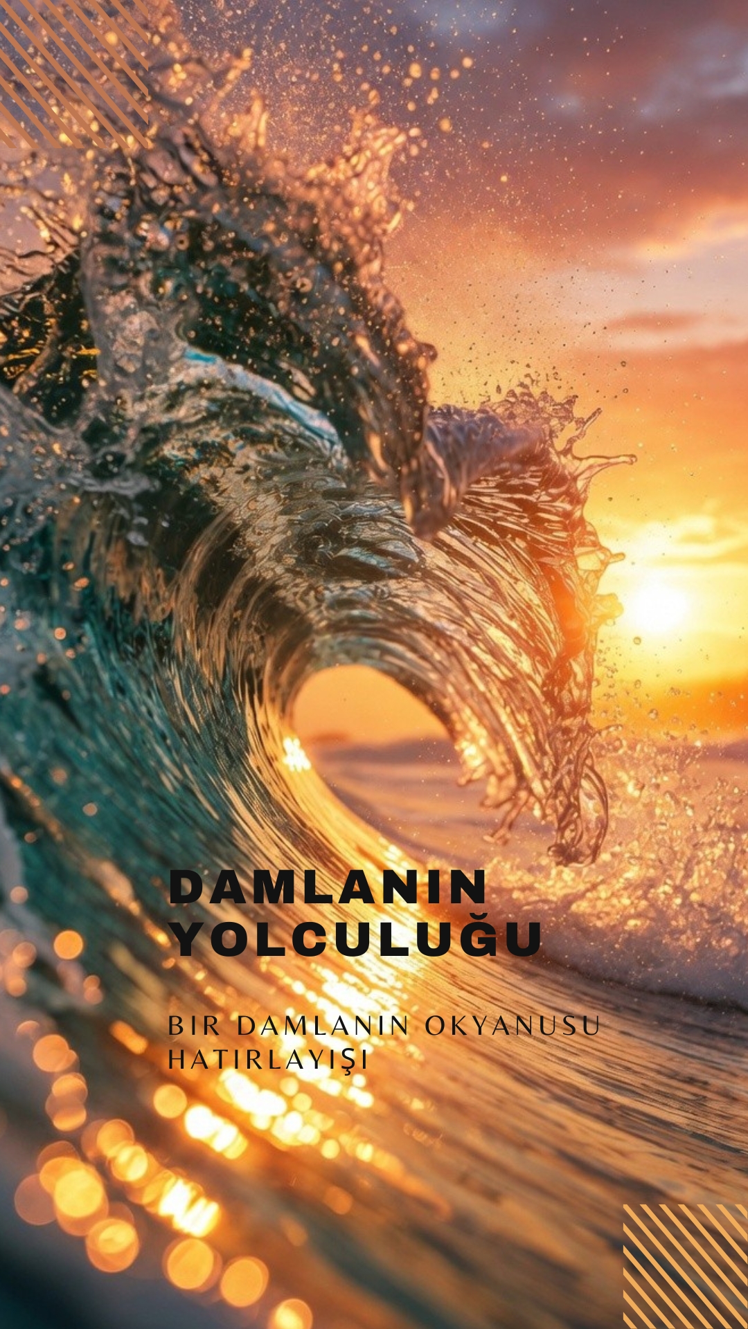 DAMLANIN YOLCILUĞU